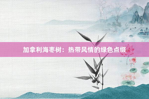 加拿利海枣树:热带风情的绿色点缀