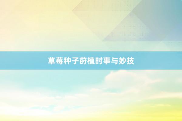 草莓种子莳植时事与妙技