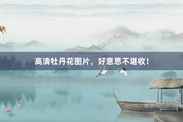 高清牡丹花图片，好意思不堪收！